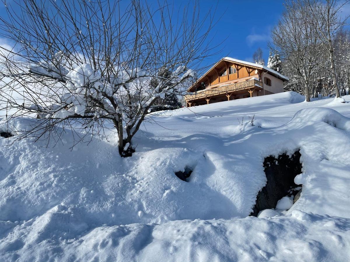 Chalet Spa Le Diamant Nathalie Mn La Rouge La Bresse Luaran gambar