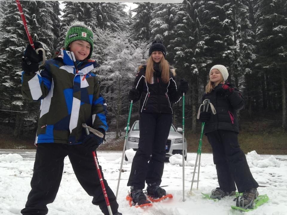 Chalet Spa Le Diamant Nathalie Mn La Rouge La Bresse Luaran gambar