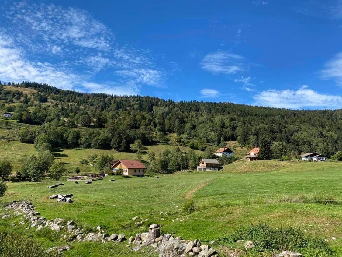 Chalet Spa Le Diamant Nathalie Mn La Rouge La Bresse Luaran gambar