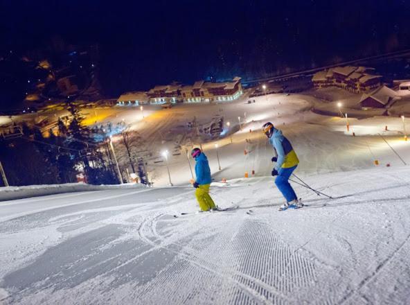 Chalet Spa Le Diamant Nathalie Mn La Rouge La Bresse Luaran gambar